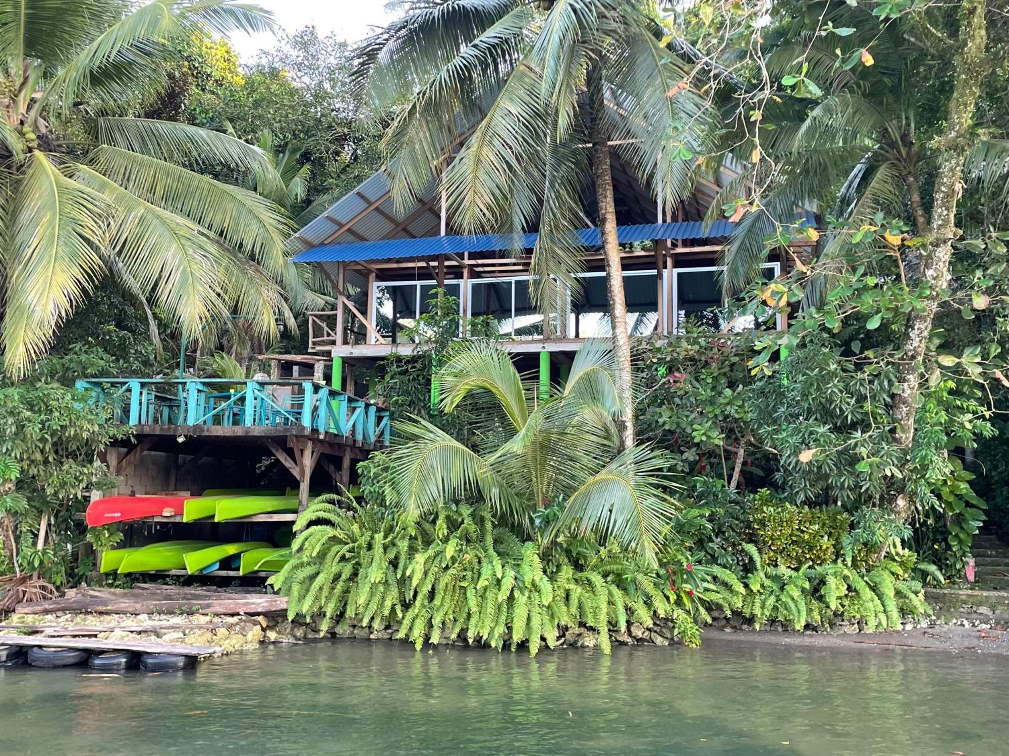 Palmeras Del Rio Hotel La Vina Exteriér fotografie