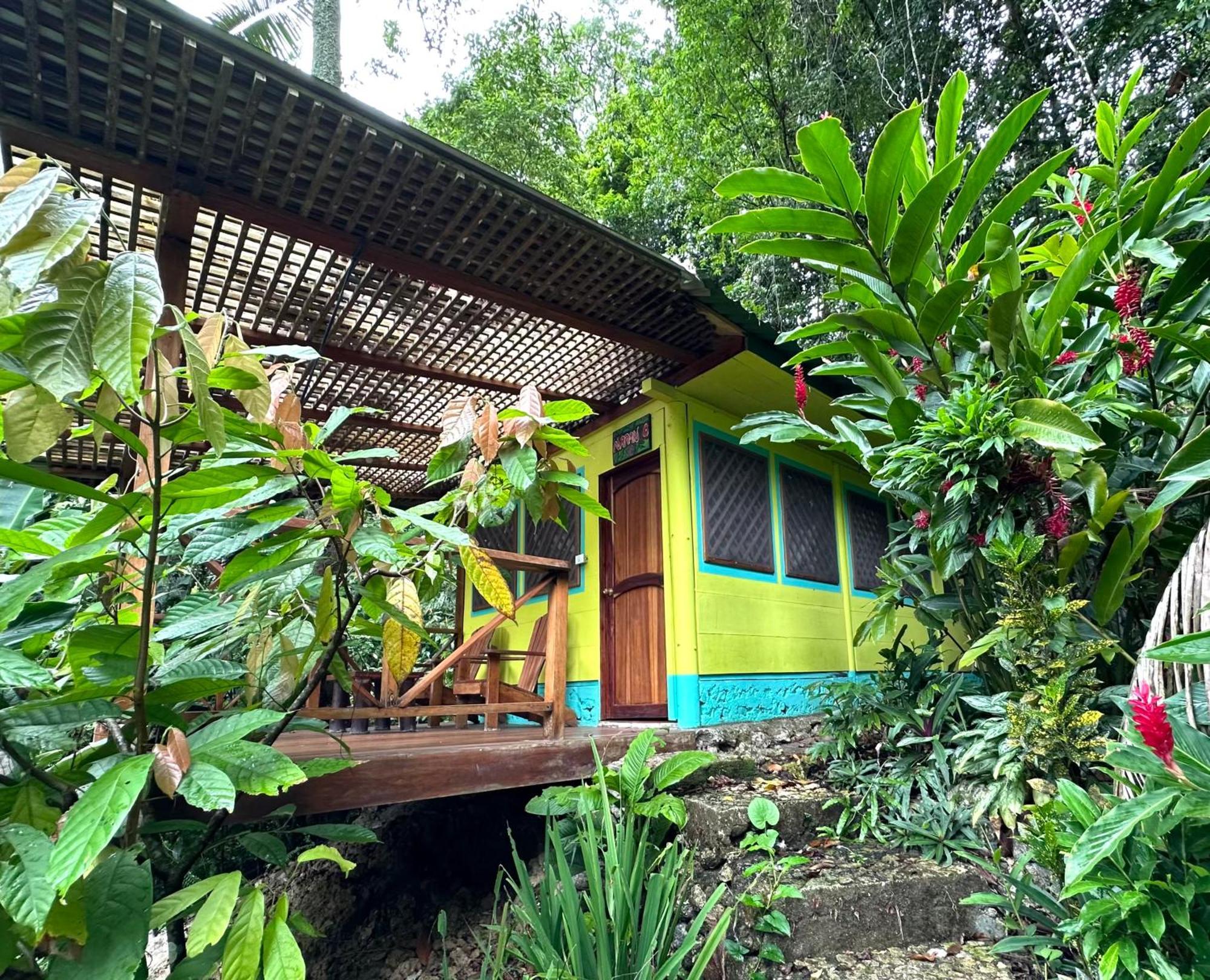 Palmeras Del Rio Hotel La Vina Exteriér fotografie