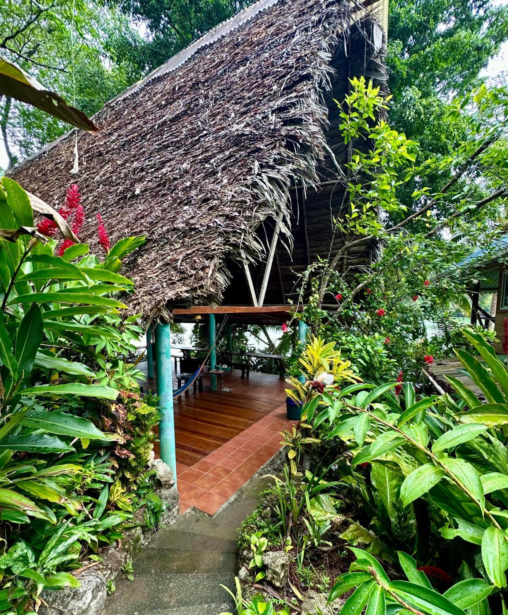 Palmeras Del Rio Hotel La Vina Exteriér fotografie