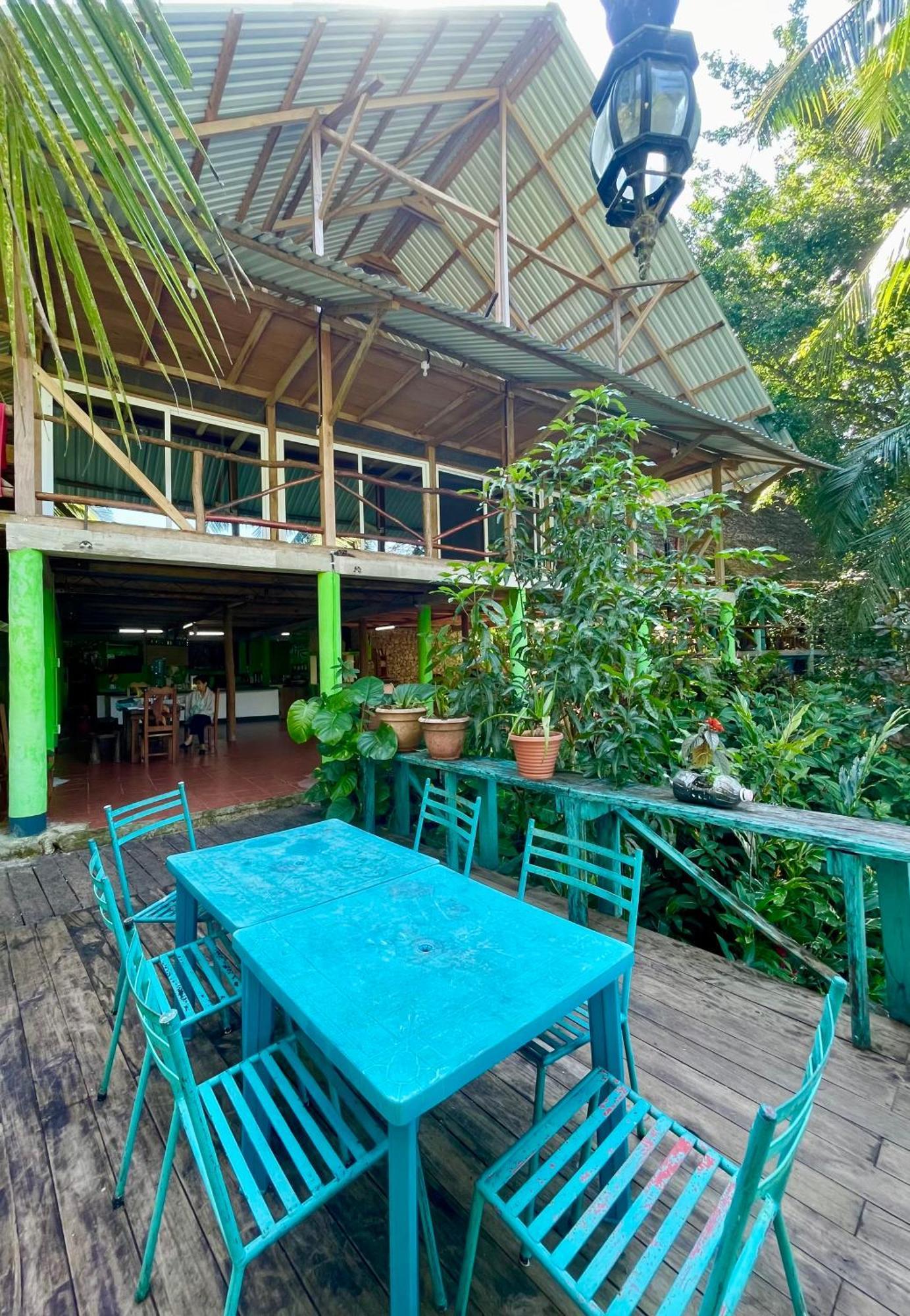 Palmeras Del Rio Hotel La Vina Exteriér fotografie